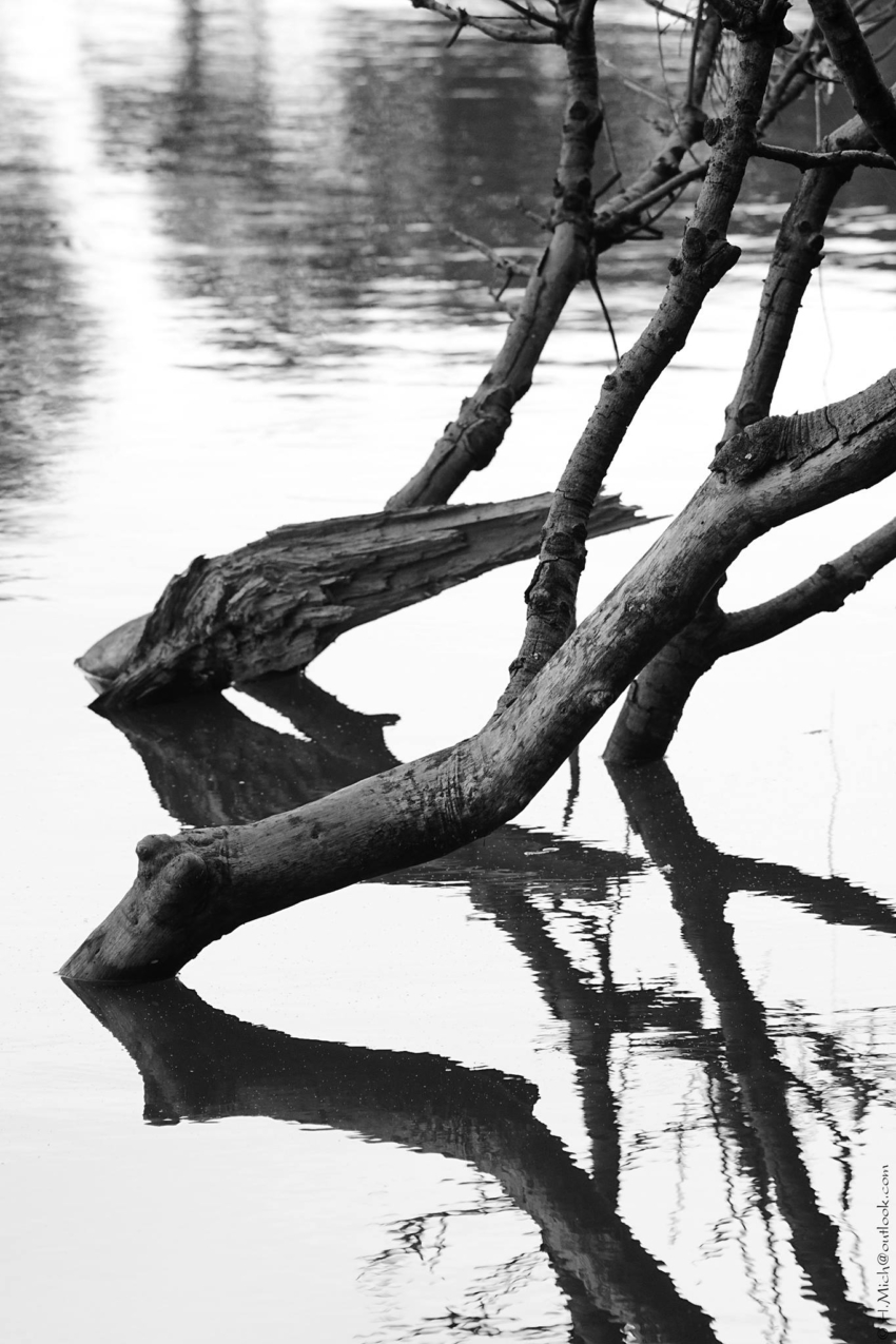 Studio-One.Art.br Repo Fotografia em Rio Preto SP/Brasil