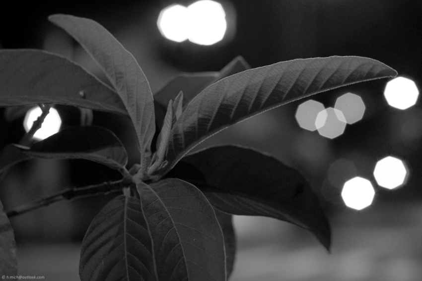 Studio-One.Art.br Repo Fotografia em Rio Preto SP/Brasil