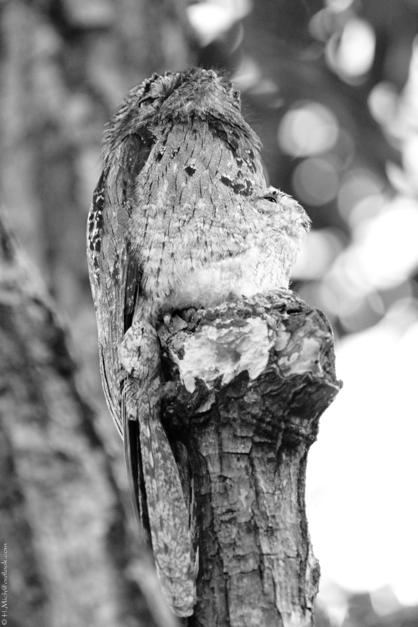 Studio-One.Art.br Repo Fotografia em Rio Preto SP/Brasil