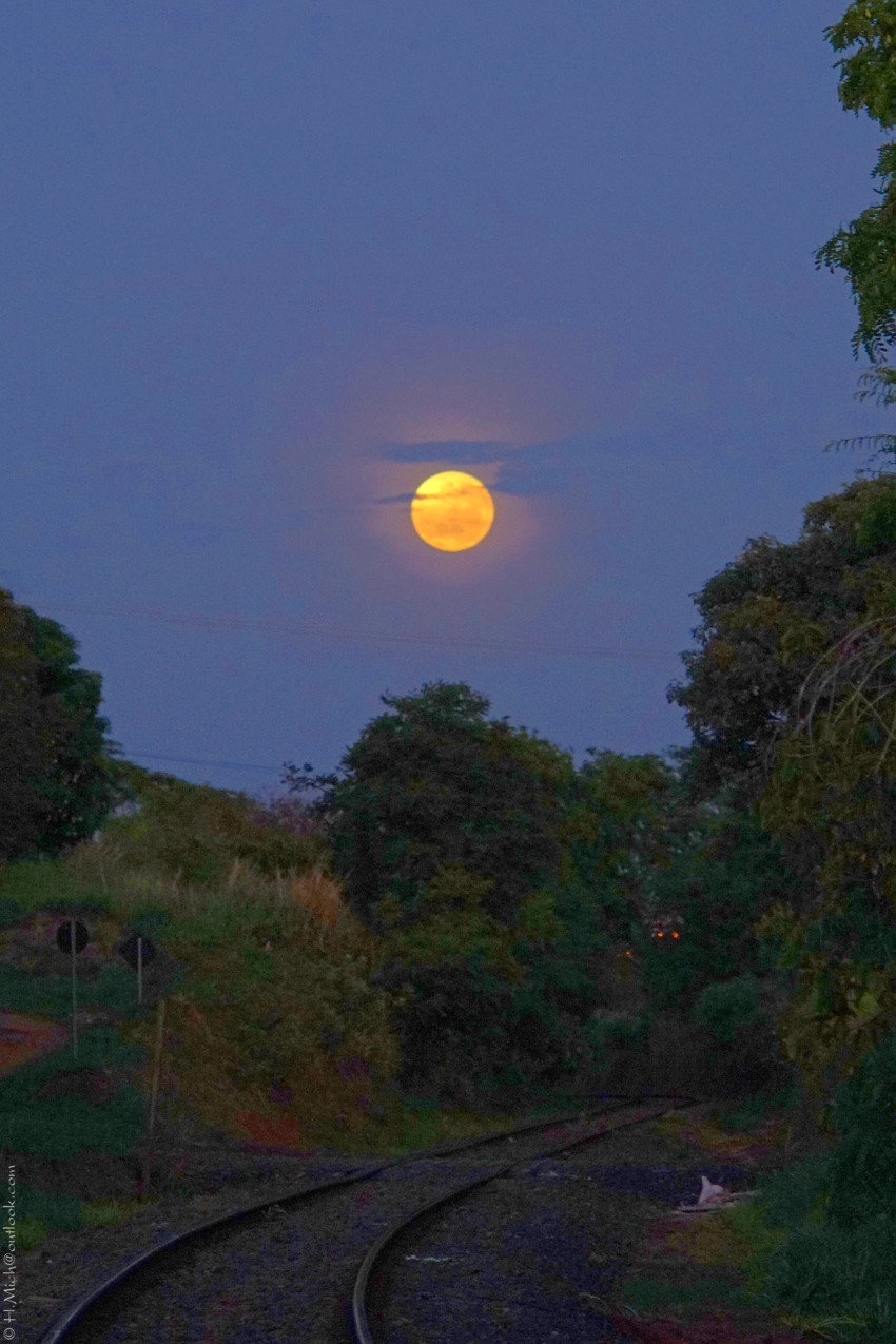 Studio-One.Art.br Repo Fotografia em Rio Preto SP/Brasil