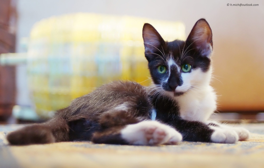 Studio-One.Art.br Repo Fotografia em Rio Preto SP/Brasil