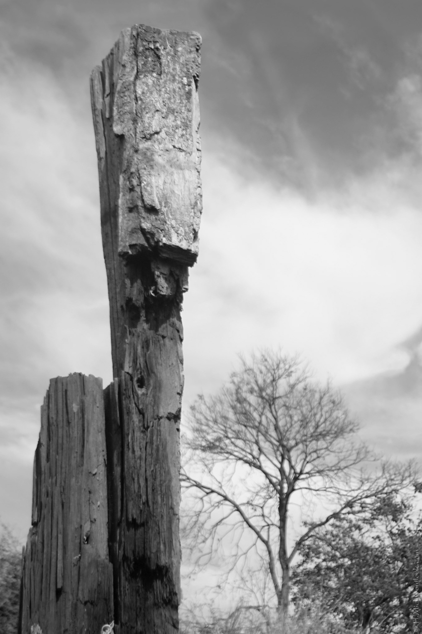 Studio-One.Art.br Repo Fotografia em Rio Preto SP/Brasil