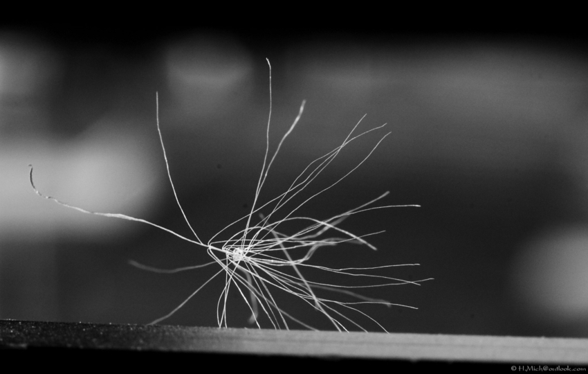 Studio-One.Art.br Repo Fotografia em Rio Preto SP/Brasil