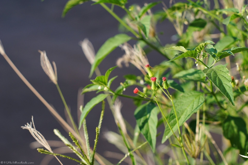 Studio-One.Art.br Repo Fotografia em Rio Preto SP/Brasil