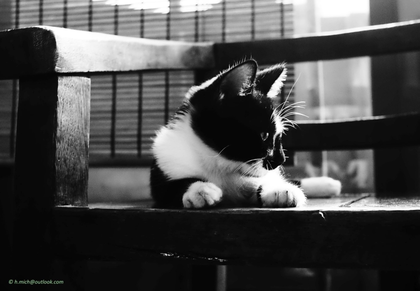 Studio-One.Art.br Repo Fotografia em Rio Preto SP/Brasil