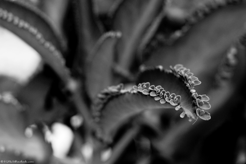 Studio-One.Art.br Repo Fotografia em Rio Preto SP/Brasil