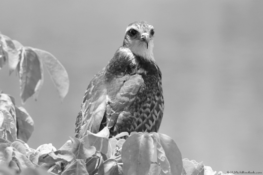 Studio-One.Art.br Repo Fotografia em Rio Preto SP/Brasil