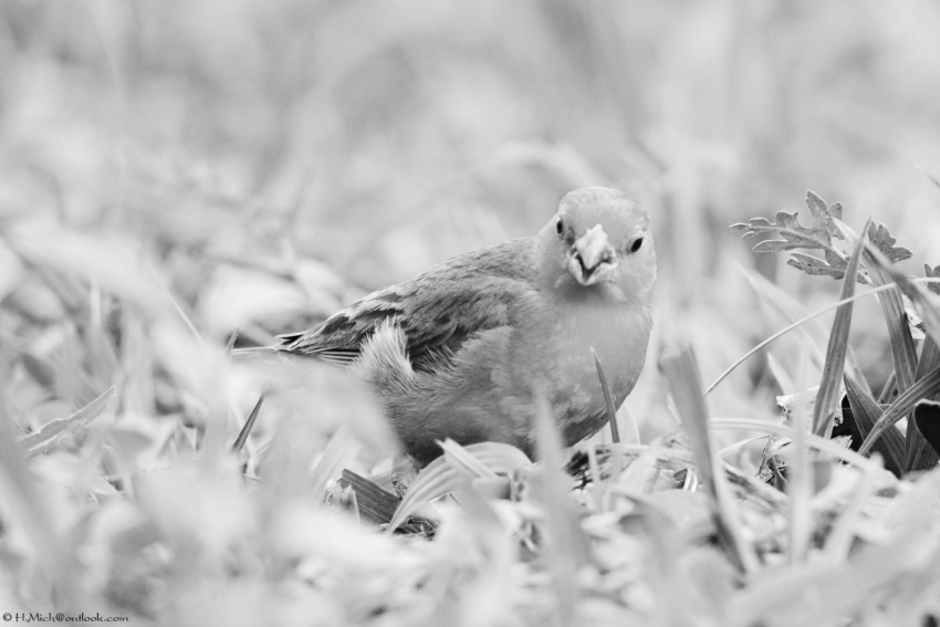 Studio-One.Art.br Repo Fotografia em Rio Preto SP/Brasil