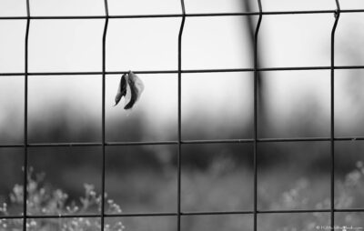 2022 06 15(594)