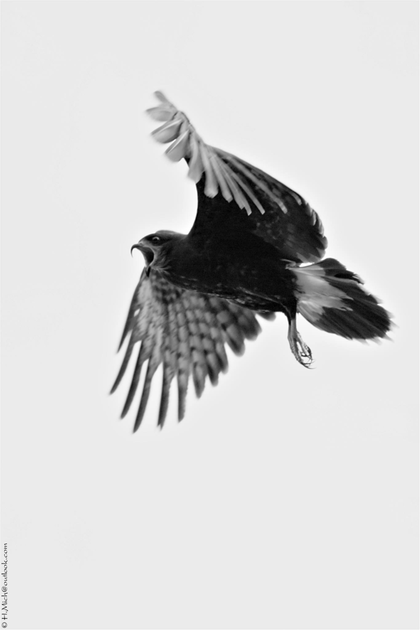 Studio-One.Art.br Repo Fotografia em Rio Preto SP/Brasil