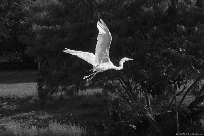 Studio-One.Art.br Repo Fotografia em Rio Preto SP/Brasil