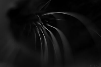 2022 06 15(6)