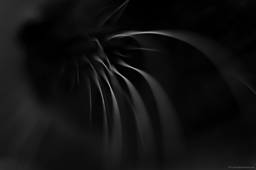 Studio-One.Art.br Repo Fotografia em Rio Preto SP/Brasil