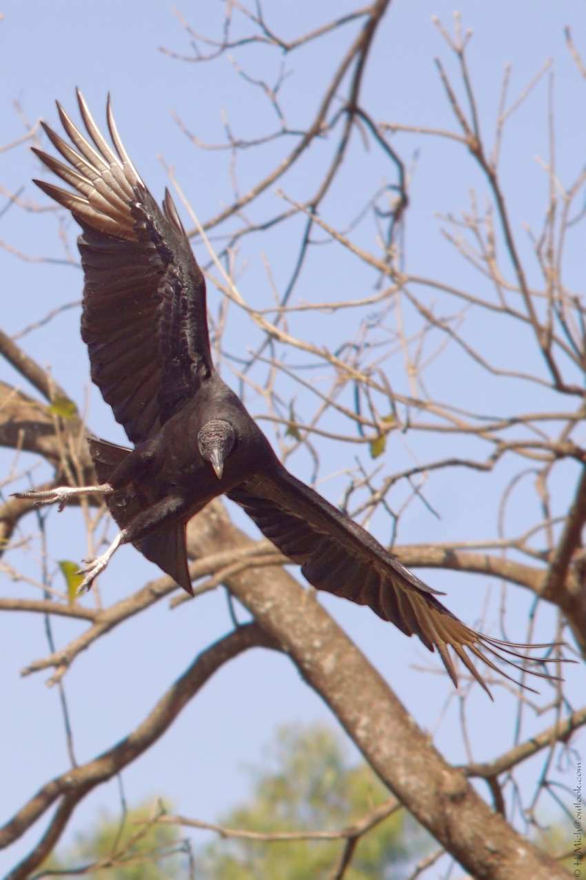 Studio-One.Art.br Repo Fotografia em Rio Preto SP/Brasil