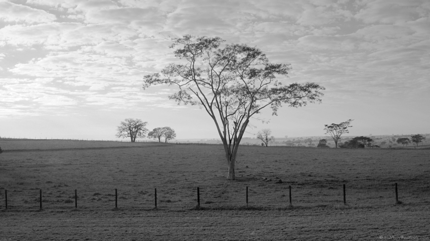 Studio-One.Art.br Repo Fotografia em Rio Preto SP/Brasil