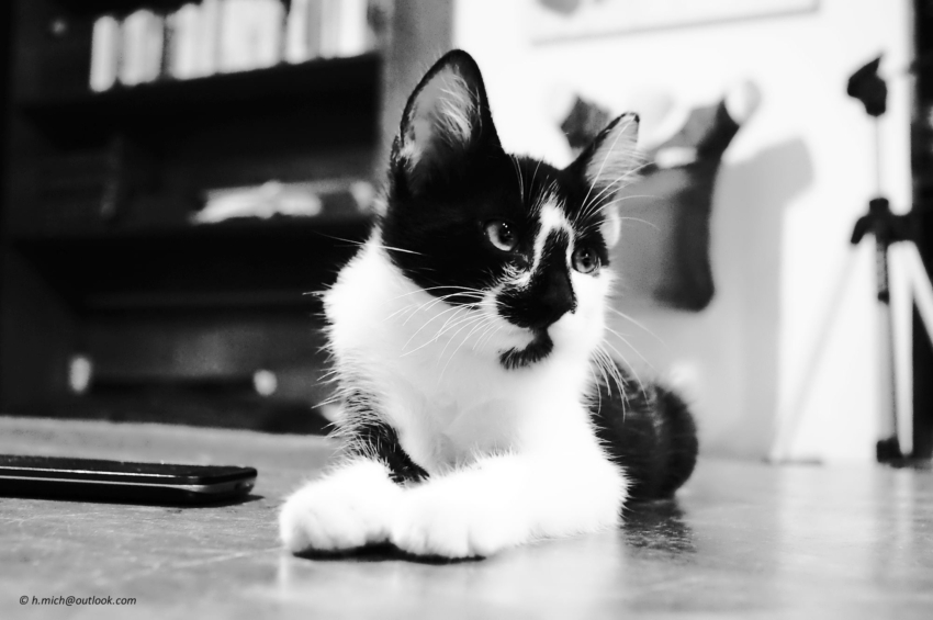 Studio-One.Art.br Repo Fotografia em Rio Preto SP/Brasil