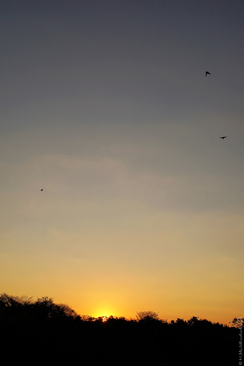 Studio-One.Art.br Repo Fotografia em Rio Preto SP/Brasil