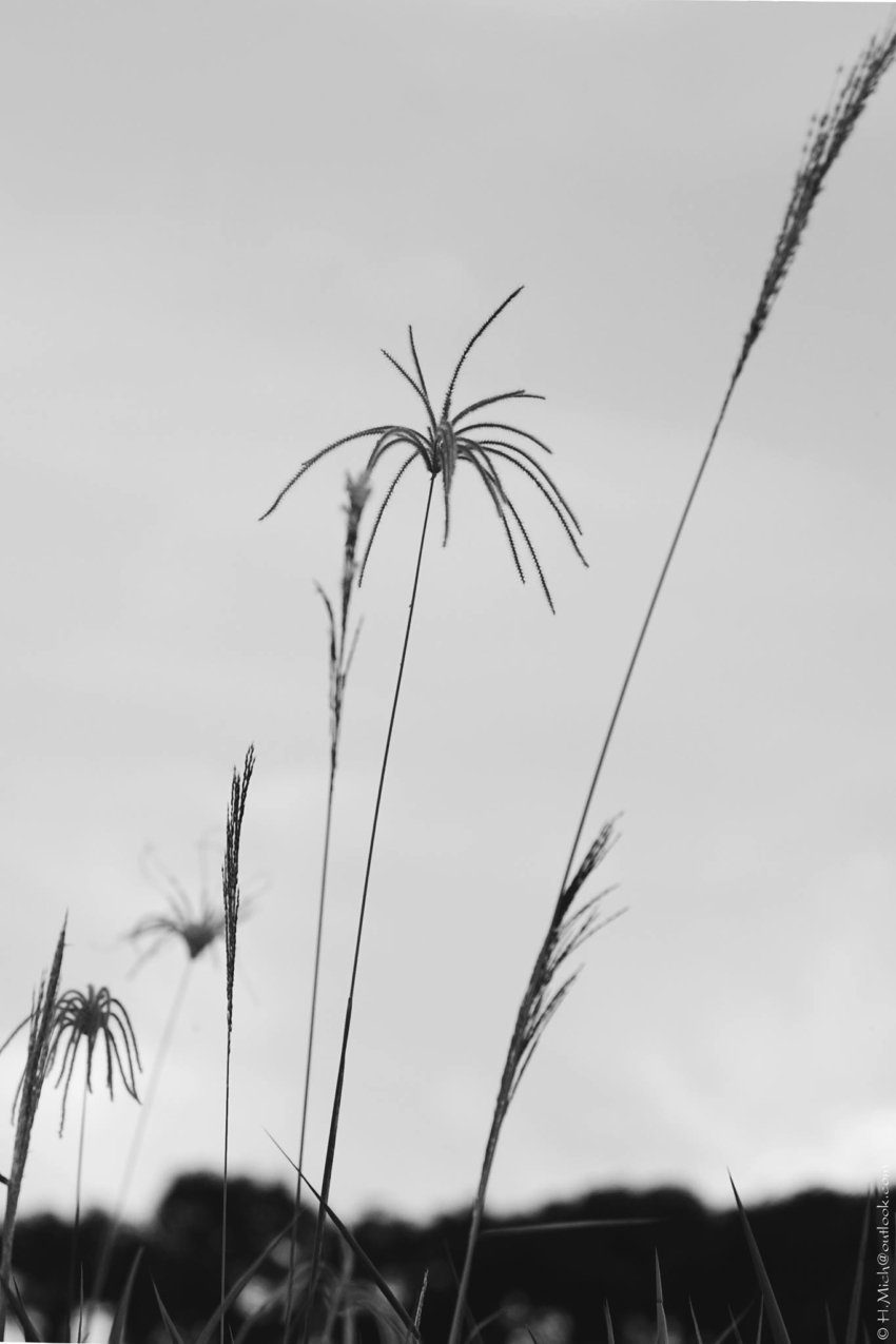 Studio-One.Art.br Repo Fotografia em Rio Preto SP/Brasil