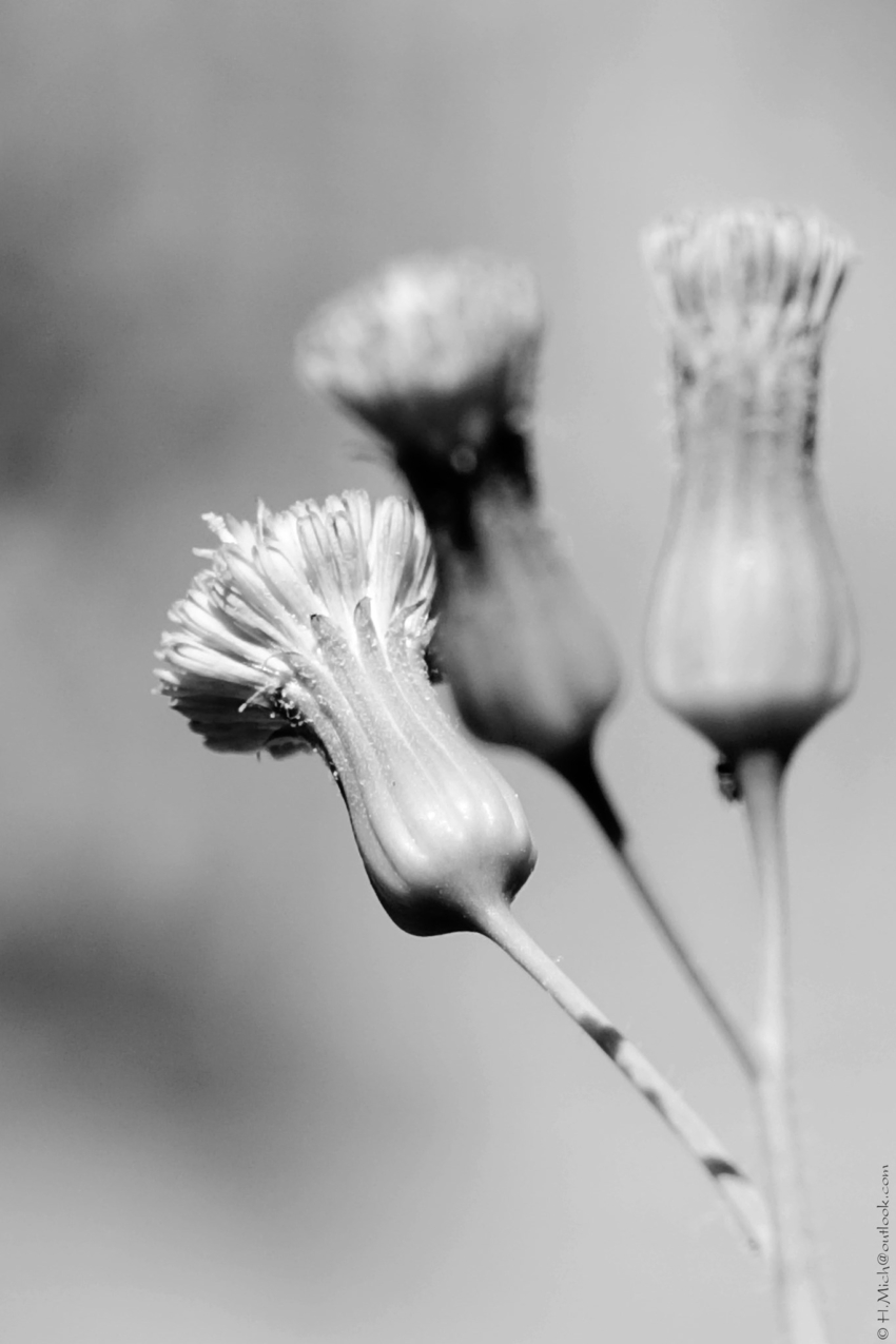 Studio-One.Art.br Repo Fotografia em Rio Preto SP/Brasil