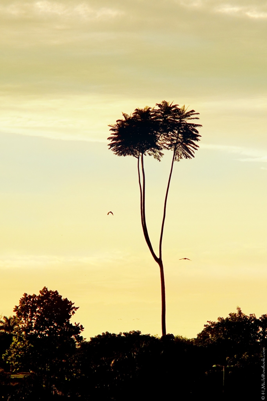 Studio-One.Art.br Repo Fotografia em Rio Preto SP/Brasil