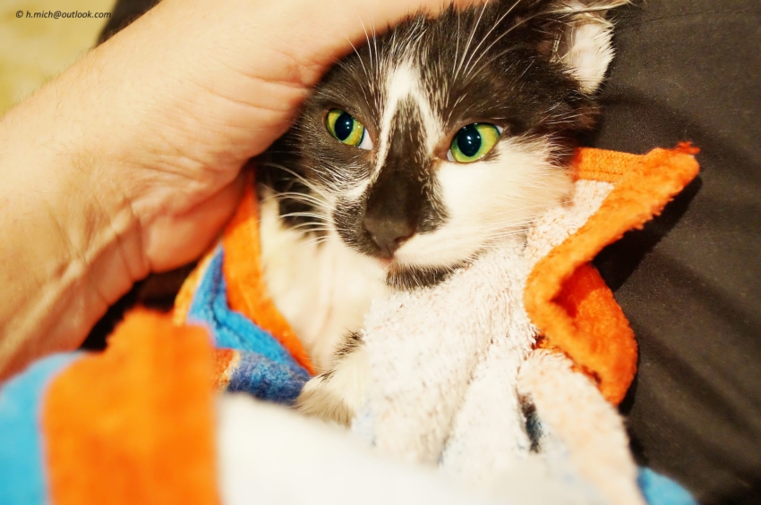 Studio-One.Art.br Repo Fotografia em Rio Preto SP/Brasil