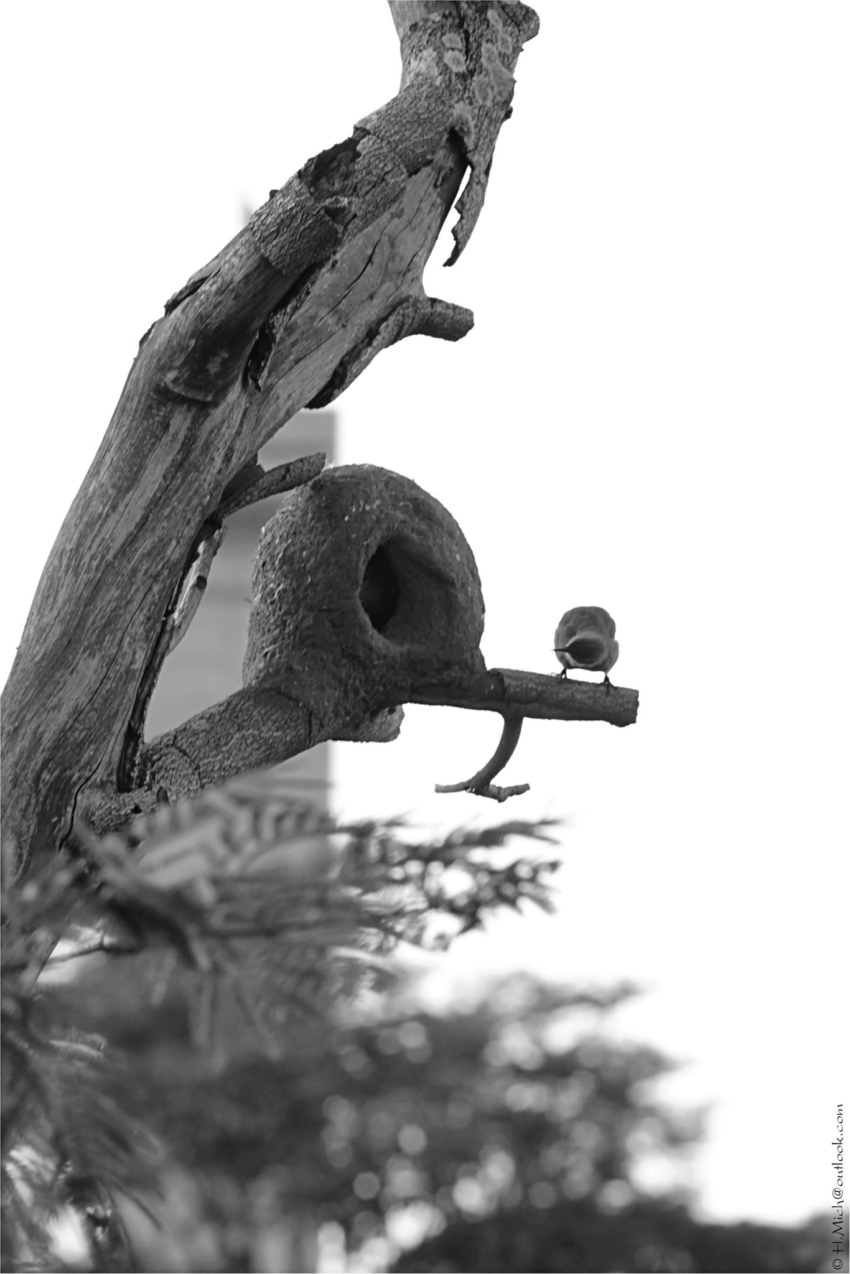 Studio-One.Art.br Repo Fotografia em Rio Preto SP/Brasil