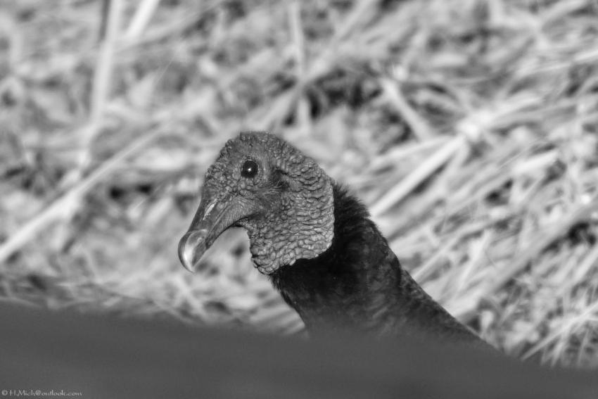 Studio-One.Art.br Repo Fotografia em Rio Preto SP/Brasil