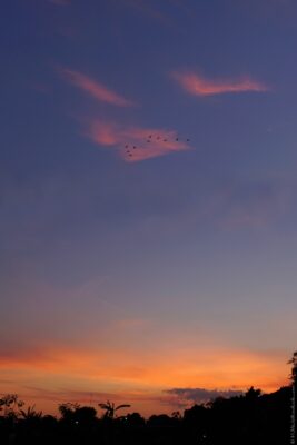 2022 06 15(63)