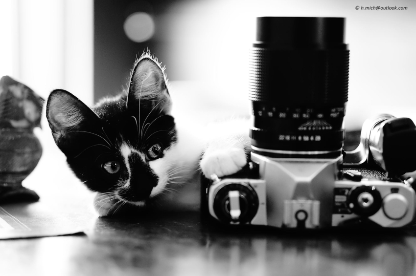 Studio-One.Art.br Repo Fotografia em Rio Preto SP/Brasil