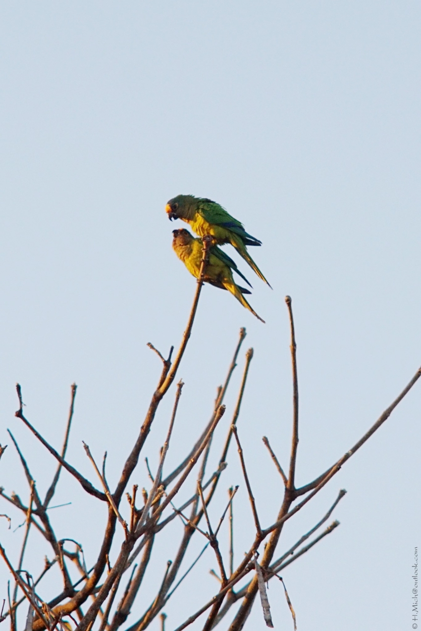 Studio-One.Art.br Repo Fotografia em Rio Preto SP/Brasil