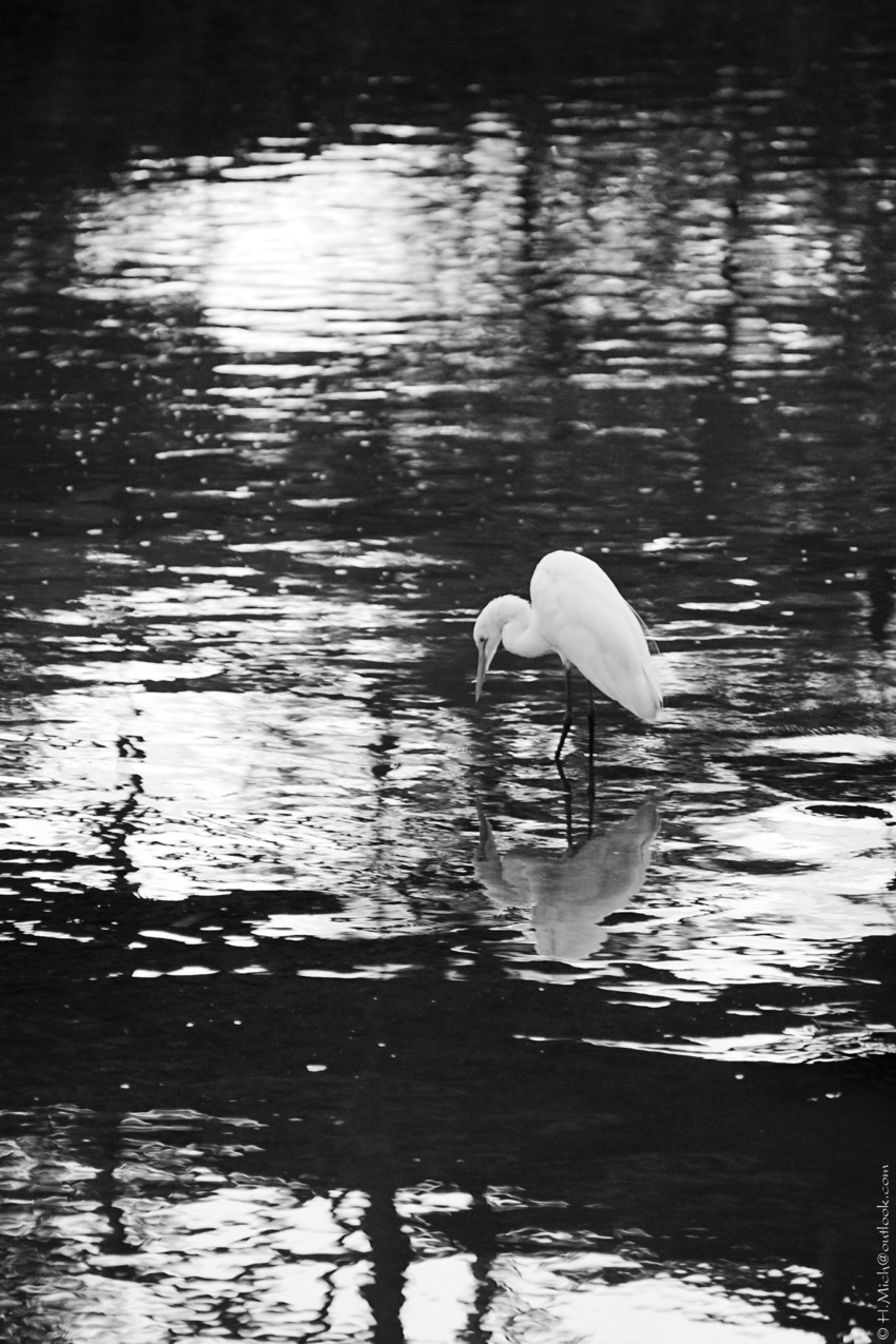 Studio-One.Art.br Repo Fotografia em Rio Preto SP/Brasil