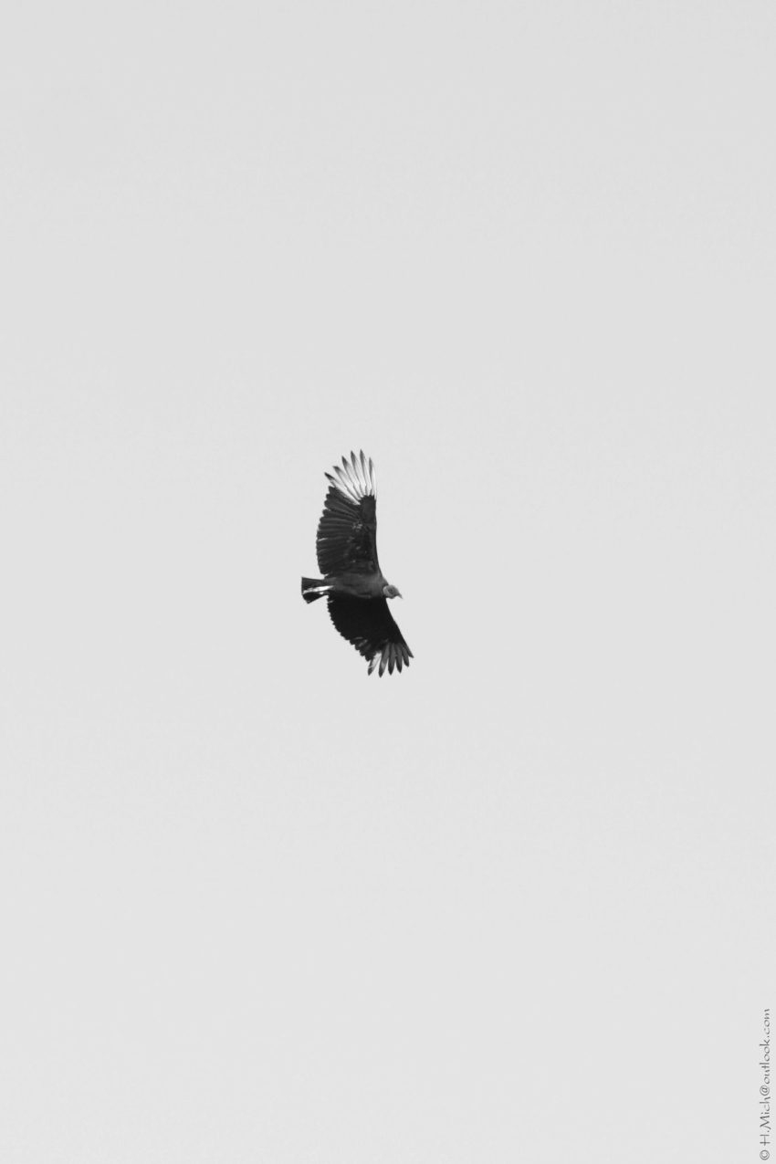 Studio-One.Art.br Repo Fotografia em Rio Preto SP/Brasil