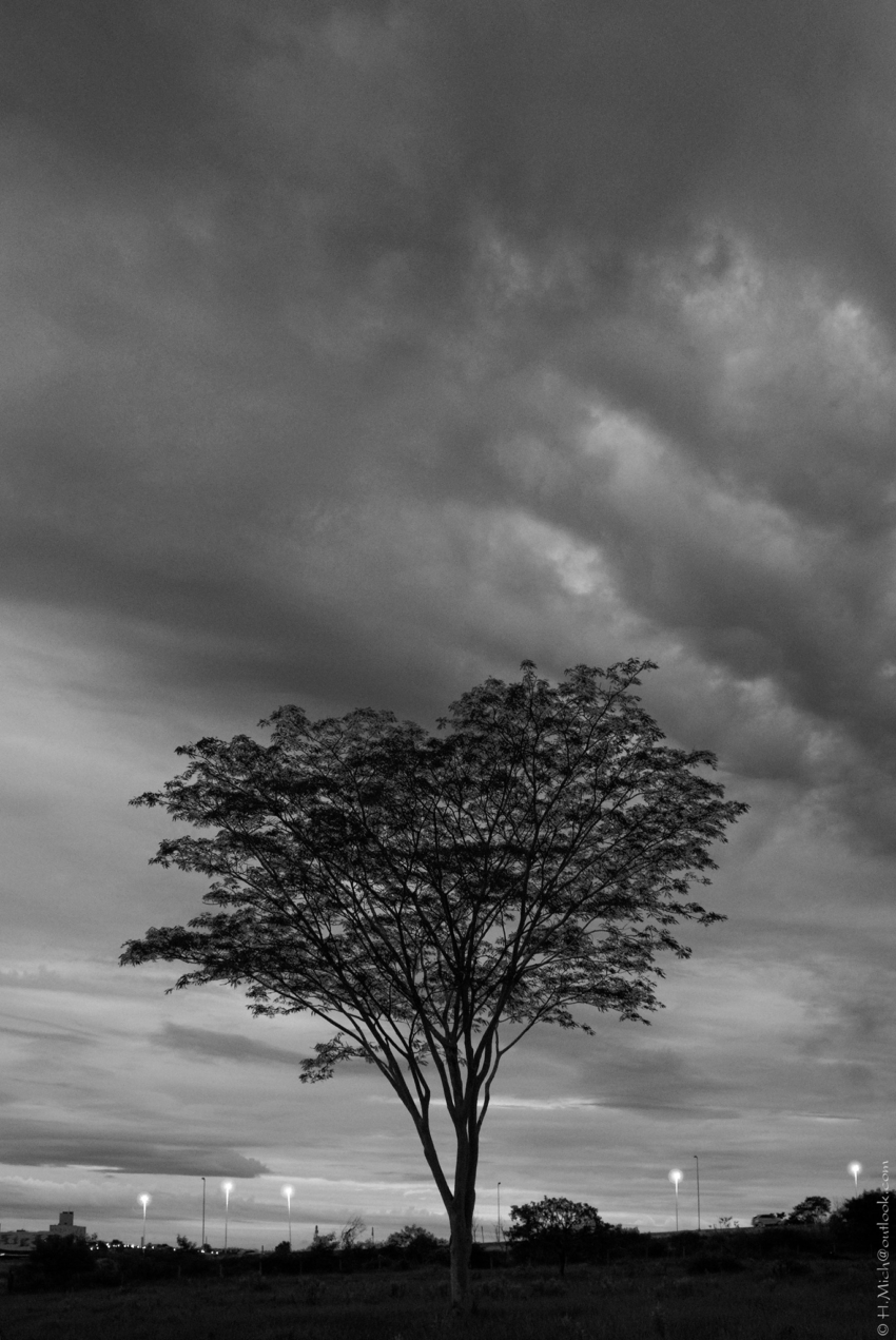 Studio-One.Art.br Repo Fotografia em Rio Preto SP/Brasil