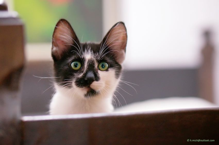 Studio-One.Art.br Repo Fotografia em Rio Preto SP/Brasil