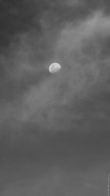 2022 06 15(66)
