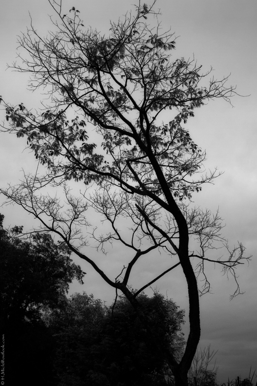 Studio-One.Art.br Repo Fotografia em Rio Preto SP/Brasil