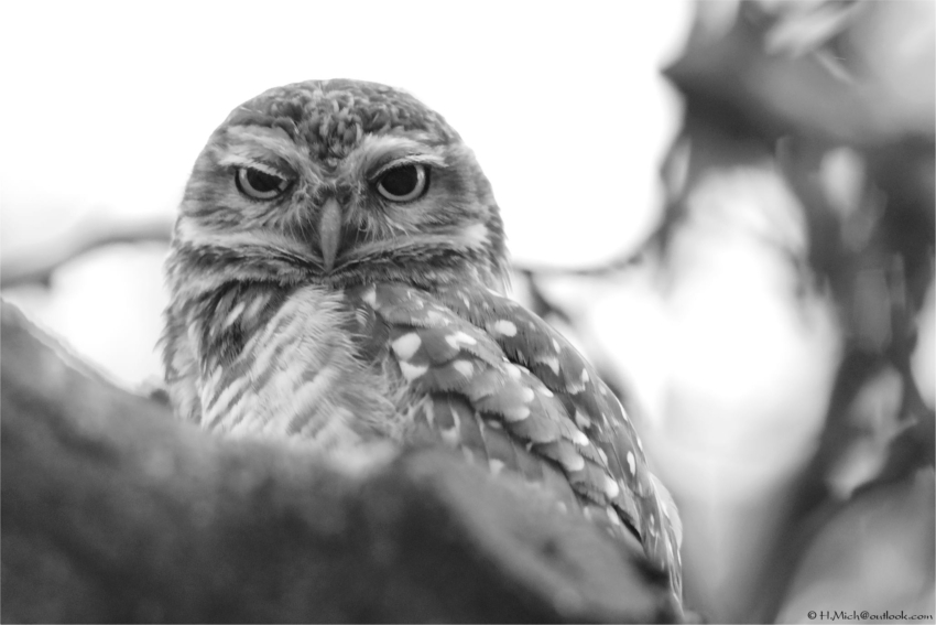 Studio-One.Art.br Repo Fotografia em Rio Preto SP/Brasil