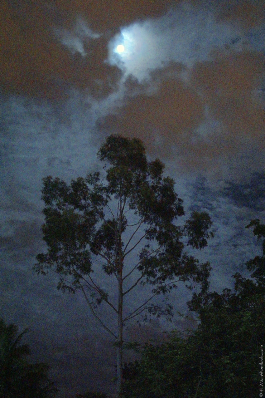 Studio-One.Art.br Repo Fotografia em Rio Preto SP/Brasil