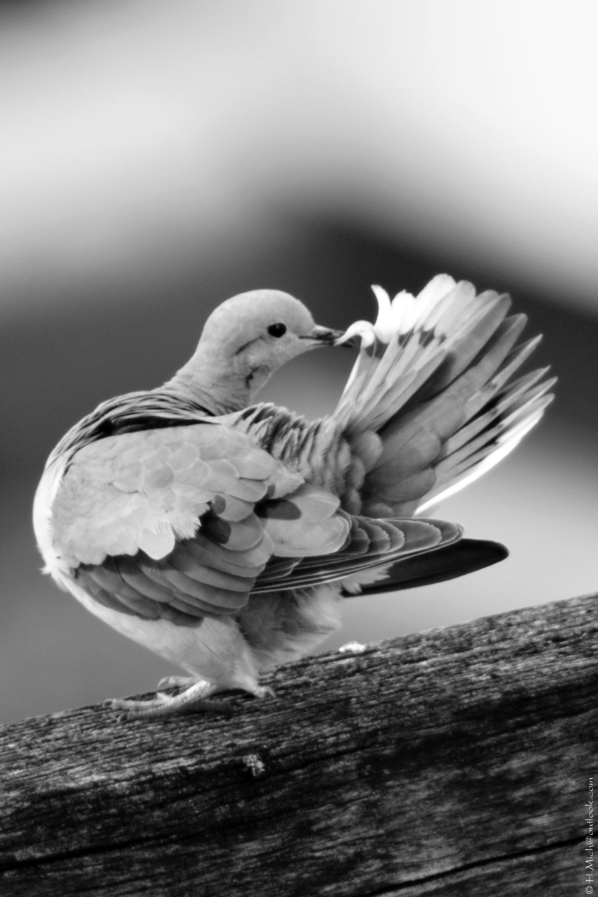 Studio-One.Art.br Repo Fotografia em Rio Preto SP/Brasil