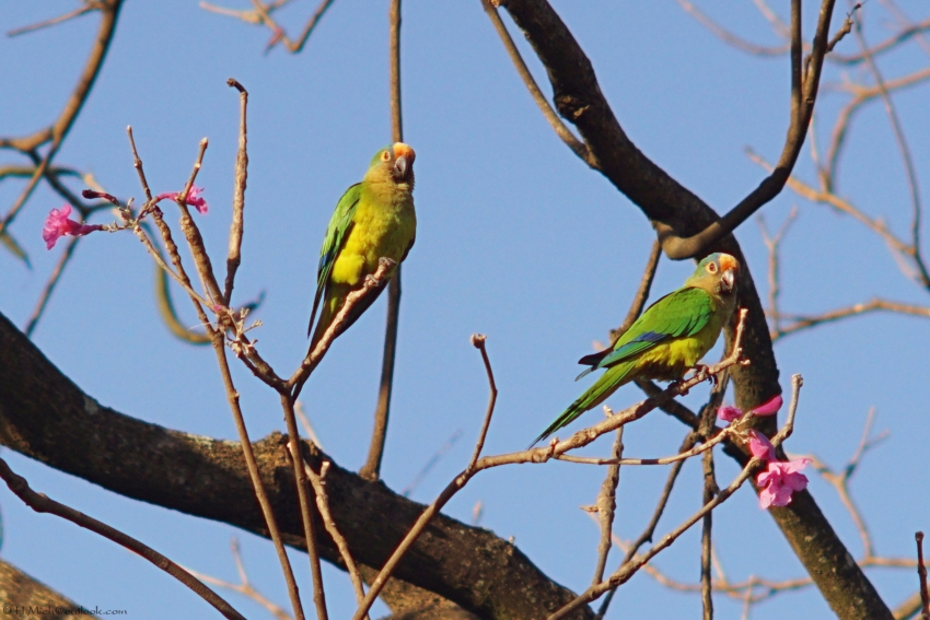 Studio-One.Art.br Repo Fotografia em Rio Preto SP/Brasil