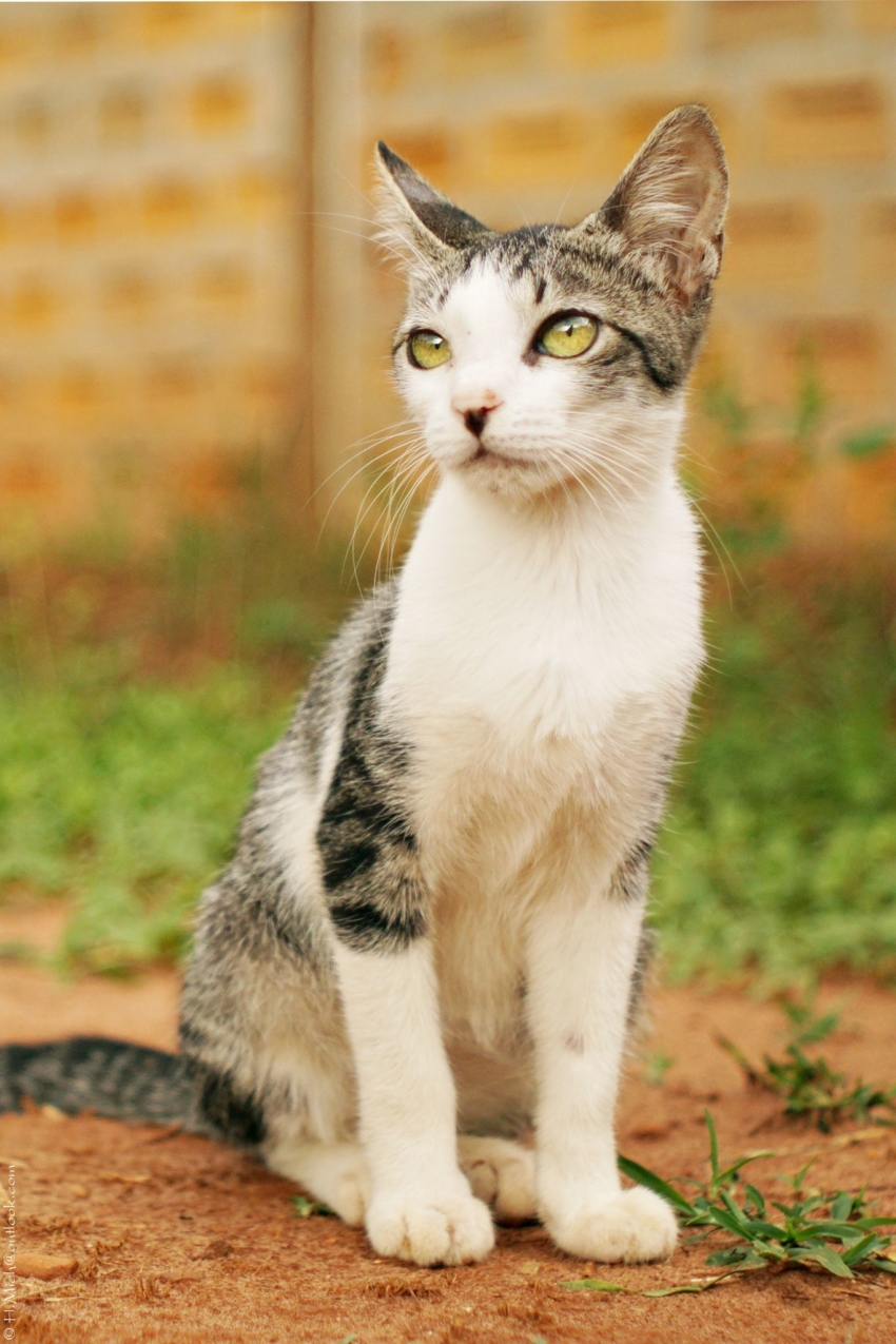 Studio-One.Art.br Repo Fotografia em Rio Preto SP/Brasil