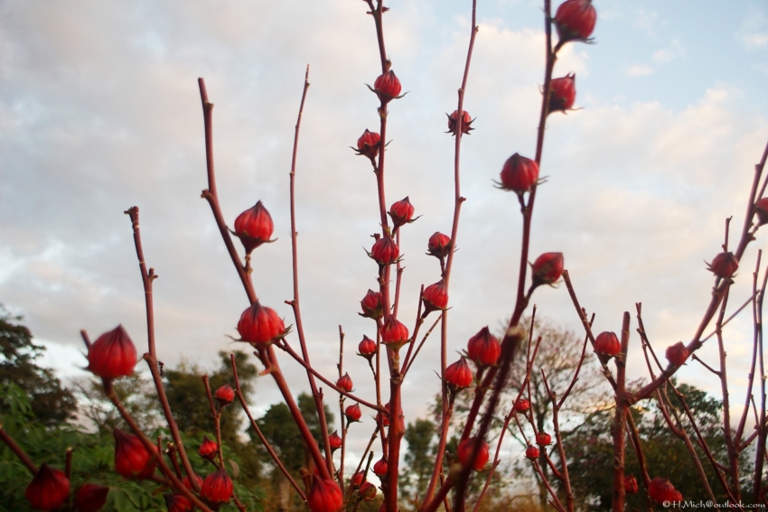 Studio-One.Art.br Repo Fotografia em Rio Preto SP/Brasil