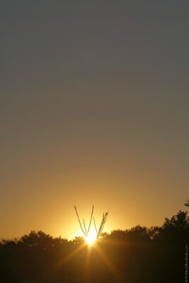 2022 06 15(7)