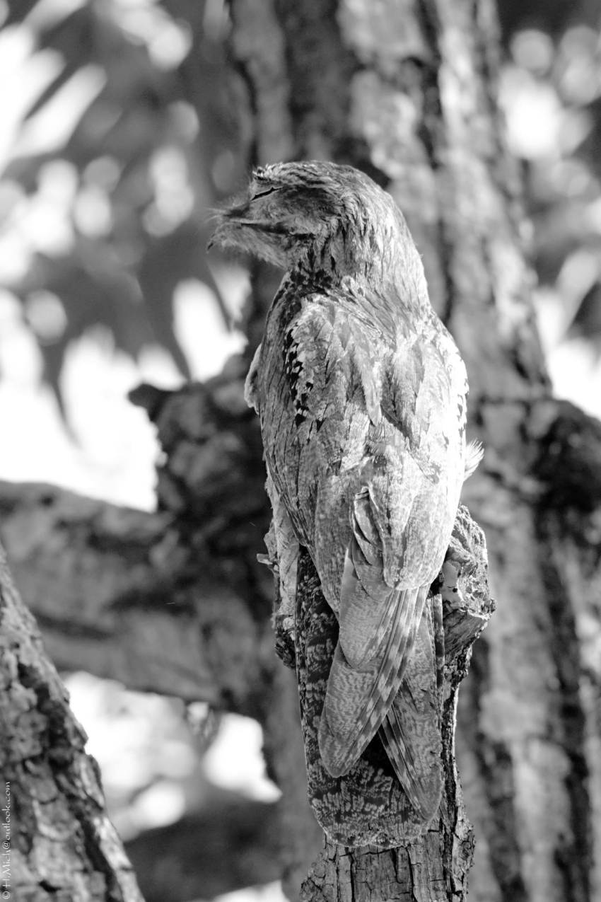 Studio-One.Art.br Repo Fotografia em Rio Preto SP/Brasil