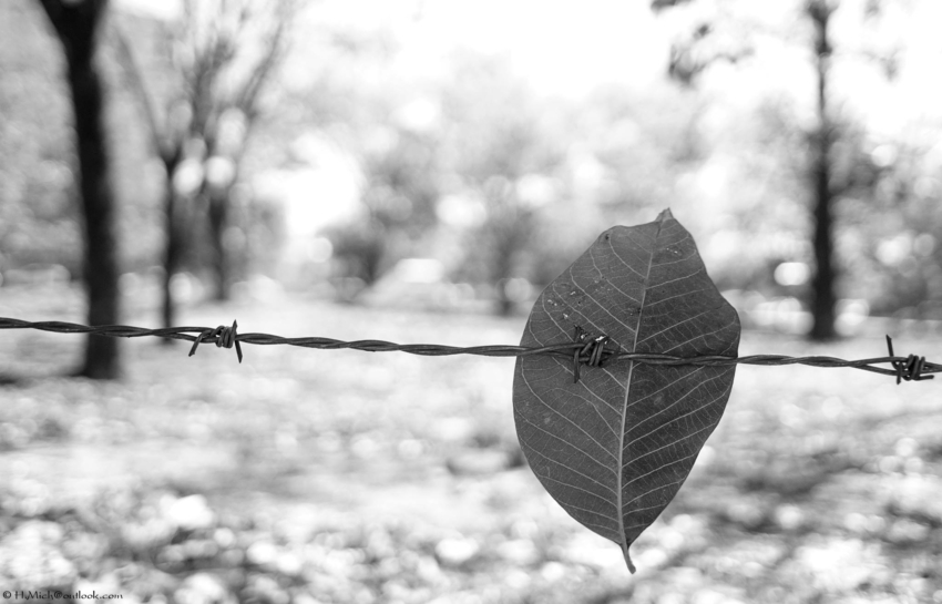 Studio-One.Art.br Repo Fotografia em Rio Preto SP/Brasil