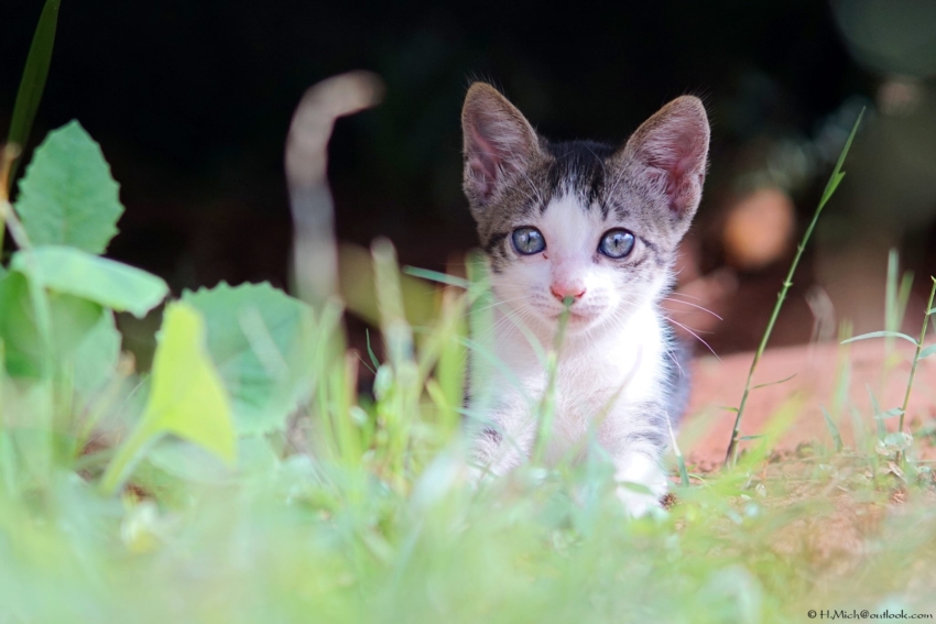 Studio-One.Art.br Repo Fotografia em Rio Preto SP/Brasil