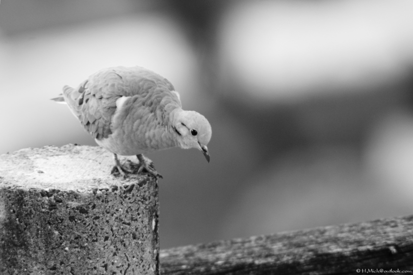 Studio-One.Art.br Repo Fotografia em Rio Preto SP/Brasil