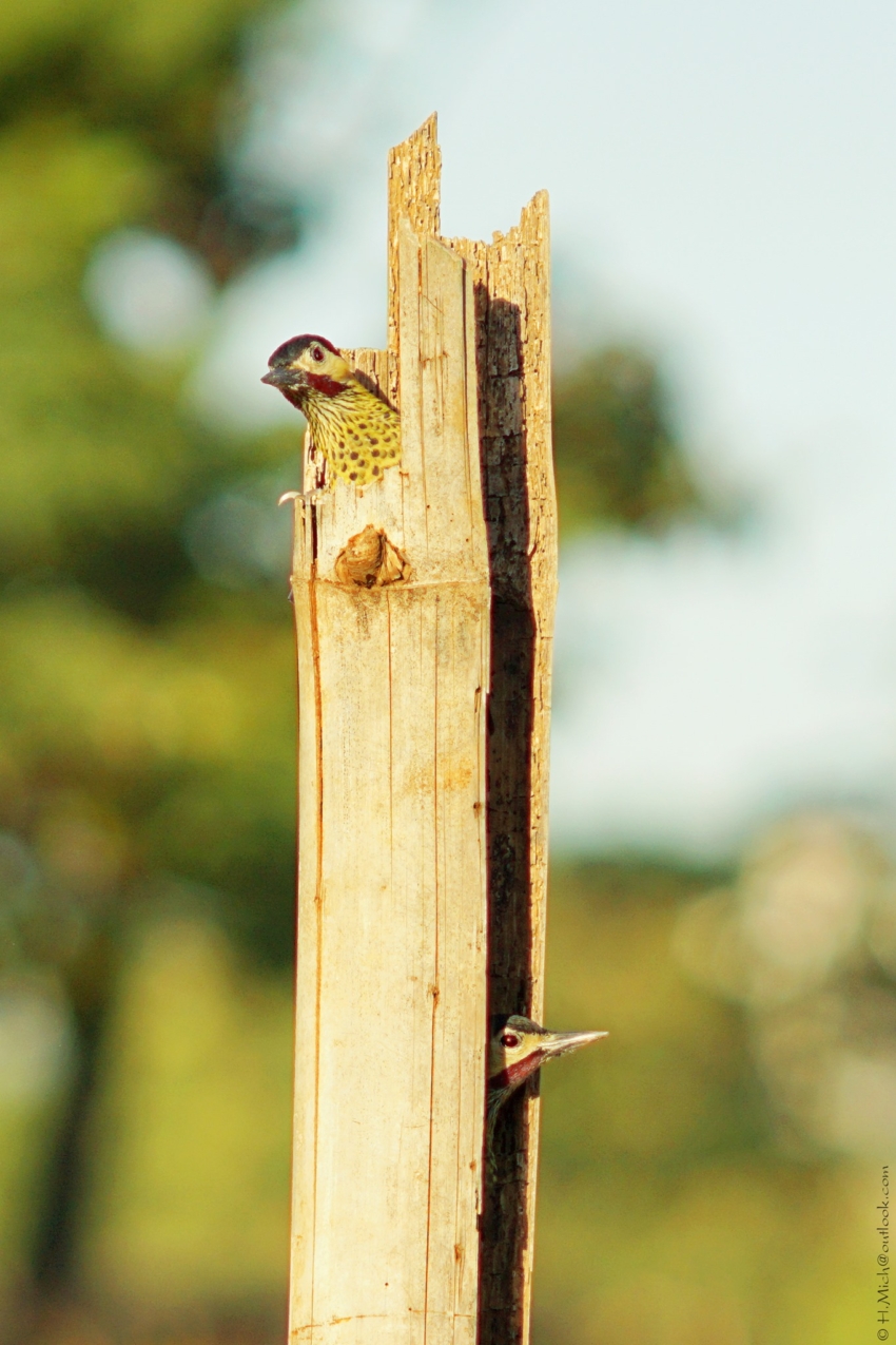 Studio-One.Art.br Repo Fotografia em Rio Preto SP/Brasil