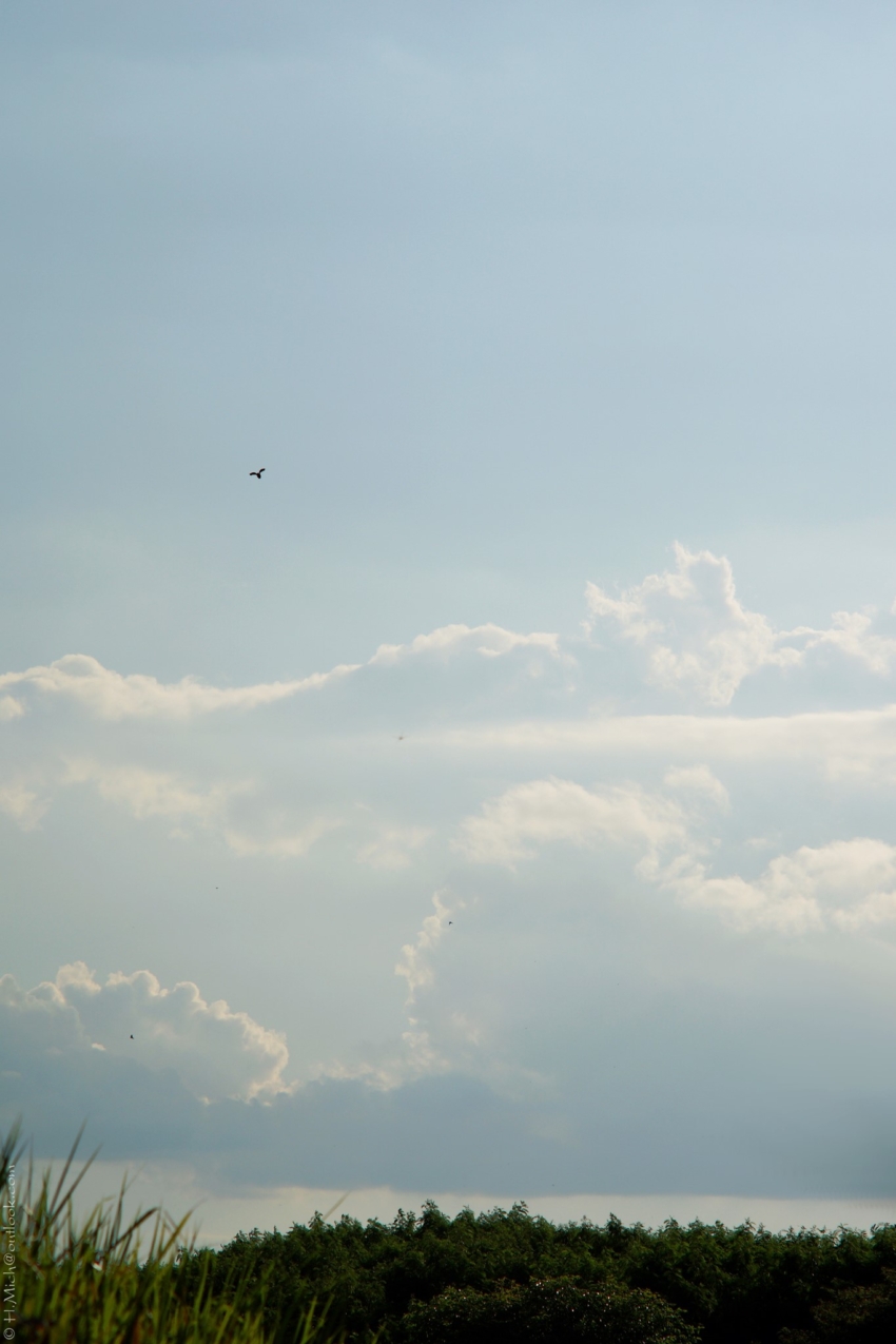 Studio-One.Art.br Repo Fotografia em Rio Preto SP/Brasil