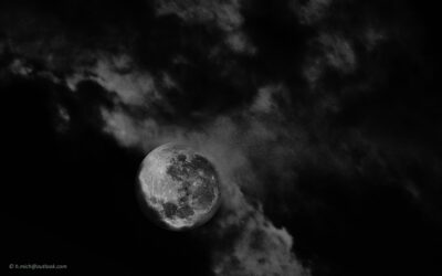 2022 06 15(701)